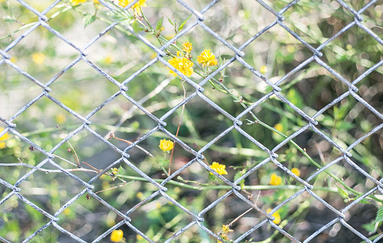 Slow Blogging